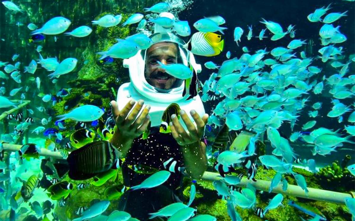 Feeding Tropical Fish Bali