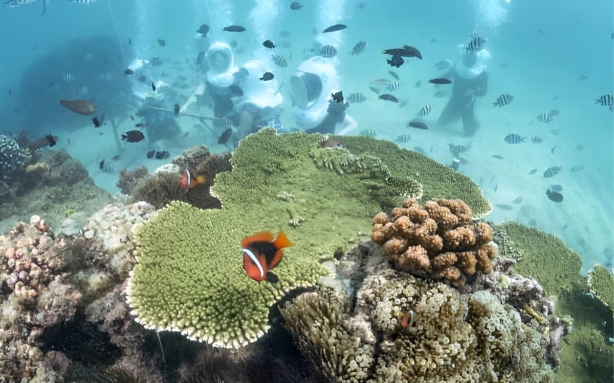 Sea Walker Helmet Bali