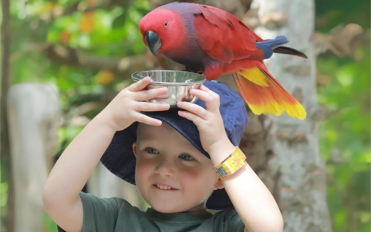 Bird Park Bali Colorful Birds