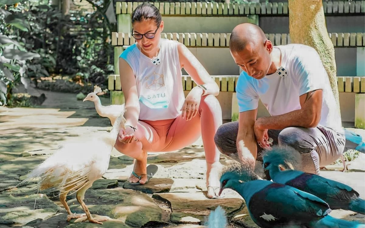 Bali Bird Park Exotic Birds Show