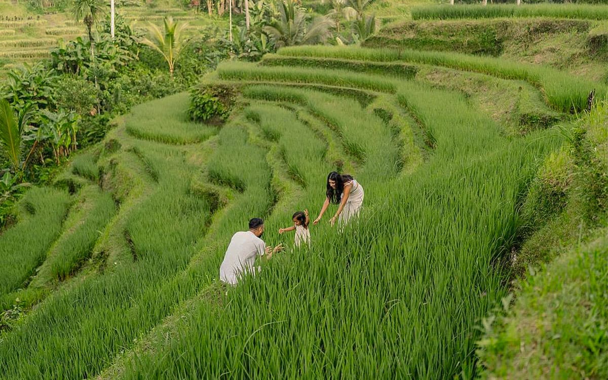 Tegalalang Rice Terrace
