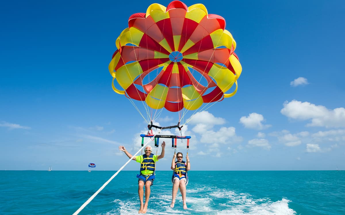 Dolphin in Lovina Beach